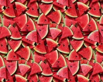 Watermelon Cotton Fabric: Bright Summer Print by Windham