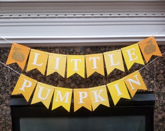 Little Pumpkin Banner - A Little Pumpkin Banner Party Decorations Fall Baby Shower Decorations First Birthday Decorations Photo Prop