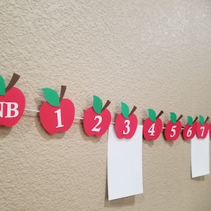 Apple Cake Smash Banner, Apple Monthly Photo  Banner, , Apple First Birthday, Apple 12 months photo banner , Apple Party Banner