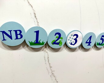 Golf 12 Month Birthday Banner ,Hole in One Birthday Decorations,Birthday Boy - First Birthday - Golf ParTee