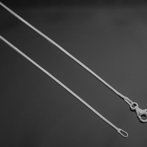 May include: A silver snake chain necklace with a lobster clasp closure.