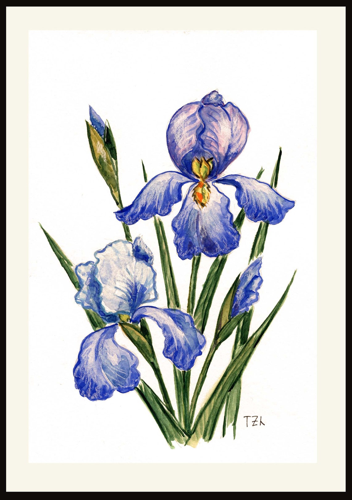 Iris Flowers Printable Set of 2 Wall Print Prints Printable - Etsy