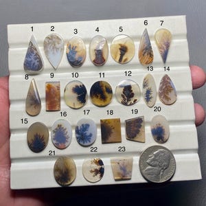 Op de afbeelding: Drieëntwintig agaat cabochons met dendritische patronen in tinten van bruin, zwart en wit, gerangschikt in rijen op een witte displaykaart met nummers 1 tot en met 23.