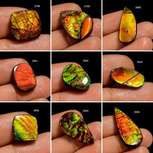 Ammolite A One Quality 100% Natural Amazing Fire Ammolite Cabochon Loose Gemstone For Making Jewelry