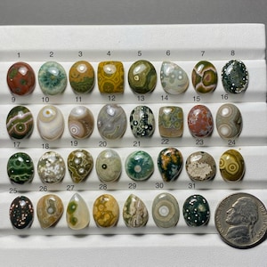 Puede incluir: Una colección de treinta y un piedras preciosas cabujón pulidas y multicolores dispuestas en filas sobre una bandeja de exhibición blanca, numeradas del 1 al 31. Una moneda de cinco centavos estadounidense sirve como referencia de tamaño.