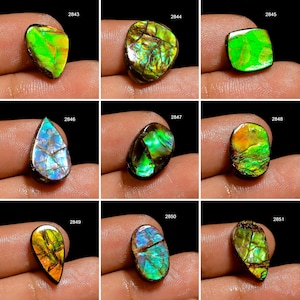 Ammolite A One Quality 100% Natural Amazing Fire Ammolite Cabochon Loose Gemstone For Making Jewelry