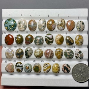 Puede incluir: Una colección de treinta y un cabujones de jaspe oceánico pulidos y ovalados, dispuestos en filas sobre una bandeja de exhibición blanca, numerados del 1 al 31. Una moneda de 20 sen se coloca en la esquina inferior derecha para escala.