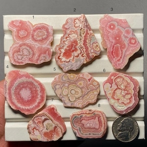 Puede incluir: Una colección de ocho especímenes pulidos de rodocrosita, que muestran una gama de tonos rosados y rojos con intrincados patrones de bandas. Las piedras varían en forma y tamaño, con una moneda para la escala. La rodocrosita exhibe círculos concéntricos y texturas en capas.