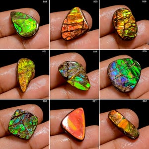 Ammolite A One Quality 100% Natural Amazing Fire Ammolite Cabochon Loose Gemstone For Making Jewelry