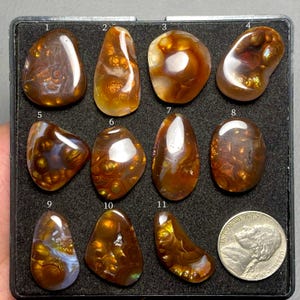 Mexican Fire Agate A One Quality 100% Natural Mexican Fire Agate Loose Gemstone For Making Jewelry Code SF-495