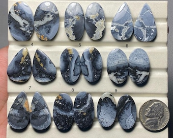 May include: A collection of nine polished gemstones in various shapes, including ovals and teardrops. The stones feature a mix of gray, black, and white patterns with some gold accents. A US nickel is included for size reference.