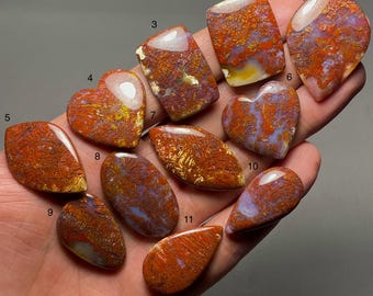 May include: Eleven polished gemstones in diverse shapes, including heart, oval, and teardrop forms. The stones exhibit orange, red, and purple colours with distinctive patterns. Some have a glossy, reflective surface.