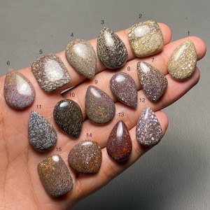 May include: A collection of fifteen polished, irregularly shaped gemstones in various colors, including brown, purple, and tan. Each stone has a unique pattern and texture, with visible details. The gemstones are held in a hand, showcasing their individual shapes and colors.