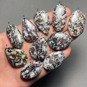 May include: Ten polished gemstones with a speckled pattern of black, white, and red. The stones are in various shapes, including oval, teardrop, and irregular forms. The gemstones are displayed on a hand.