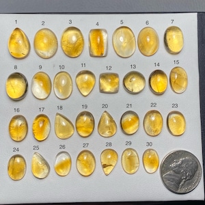 Puede incluir: Una colección de treinta gemas de citrino pulidas en varias formas, incluyendo ovaladas, en forma de lágrima y rectangulares. Las piedras varían en color desde amarillo pálido hasta ámbar dorado. Se incluye una moneda para comparar el tamaño.