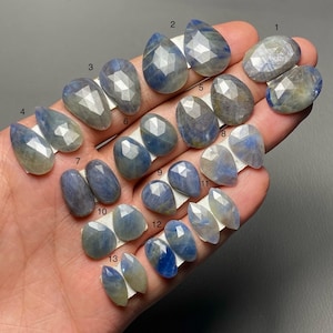 Blue Sapphire Rose Cut Pair A One Quality 100% Natural Sapphire Loose Gemstone For Making Earring Code SF-1059