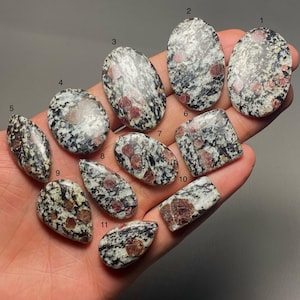 Könnte beinhalten: Eine Sammlung von elf polierten Edelsteinen in verschiedenen Formen, darunter oval, tropfenförmig und rechteckig. Die Steine weisen ein gesprenkeltes Muster aus Schwarz, Weiß und Grau mit rötlich-braunen Einschlüssen auf. Die Edelsteine werden in einer Hand gehalten.