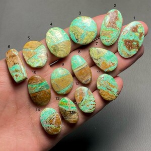 May include: A collection of fourteen polished gemstones in various shapes, held in a hand. The stones display a mix of colors, including turquoise, brown, and gold, with unique patterns and textures. The gemstones are numbered for identification.