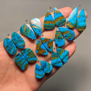 Puede incluir: Una colección de piedras preciosas pulidas en varias formas, incluyendo lágrimas, óvalos y formas geométricas. Las piedras presentan una llamativa combinación de colores azul, marrón y dorado, con patrones y texturas únicos. Las piedras preciosas se sostienen en una mano.