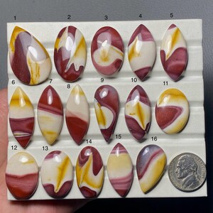 Pode incluir: Uma coleção de dezasseis pedras preciosas polidas em várias formas, incluindo ovais e em forma de gota. As pedras exibem uma mistura de cores bordô, creme e amarelo, com padrões únicos em espiral. Uma moeda é incluída para referência de tamanho.