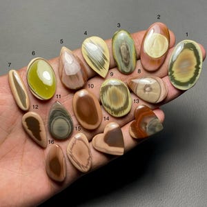 May include: A selection of sixteen polished gemstones in diverse shapes and colours, including oval, teardrop, and heart. The stones exhibit a variety of earthy tones, such as brown, beige, green, and cream, with unique patterns and veining.