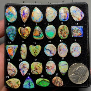May include: A collection of colorful opal gemstones in various shapes, including teardrop, oval, and heart. The opals display a range of colors, such as blue, green, orange, and purple, with internal patterns. A nickel coin is included for size reference.