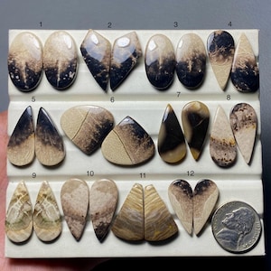 May include: A collection of twelve polished gemstone pairs in various shapes, including ovals, teardrops, and triangles. The stones feature a mix of beige, brown, and black patterns, with a nickel coin for size reference. The gemstones are displayed on a white tray.