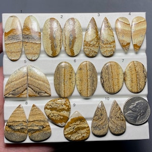 Picture Jasper Pair A One Quality 100% Natural Picture Jasper Cabochon Loose Gemstone For Making Earring Code SF-577