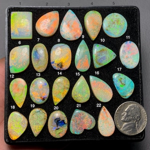 May include: A collection of polished opal gemstones in various shapes and sizes, displayed in a black tray. The opals exhibit a range of colors, including green, orange, blue, and yellow, with iridescent patterns. A US nickel is included for size reference.