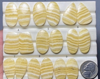 Pode incluir: Uma coleção de nove pares de pedras preciosas de calcita amarela polida em várias formas, incluindo ovais, lágrimas e triângulos. As pedras têm uma aparência listrada com camadas branco-creme e amarelo. Uma moeda é incluída para referência de tamanho.