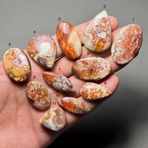 May include: A collection of eleven polished agate gemstones in various shapes and sizes. The stones display a range of colors, including red, orange, cream, and gray, with intricate patterns and banding. The gemstones are held in a hand, showcasing their natural beauty.