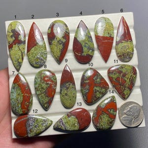 Può includere: Una collezione di 14 cabochon di diaspro rosso, verde e marrone, ognuno con un motivo unico, disposti in file su un pannello di esposizione bianco. I cabochon sono tutti a forma di goccia e misurano circa 2,5 cm di lunghezza.