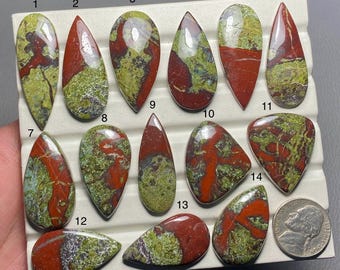 May include: A collection of 14 red, green, and brown jasper cabochons, each with a unique pattern, arranged in rows on a white display board. The cabochons are all teardrop shaped and are approximately 1 inch in length.