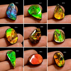 Ammolite A One Quality 100% Natural Amazing Fire Ammolite Cabochon Loose Gemstone For Making Jewelry