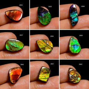 Ammolite A One Quality 100% Natural Amazing Fire Ammolite Cabochon Loose Gemstone For Making Jewelry