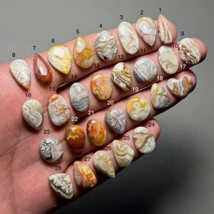 May include: A collection of twenty-eight polished agate stones in various shapes and sizes. The stones display a range of colors, including white, brown, orange, and gray, with unique banding patterns. The stones are displayed on a hand.