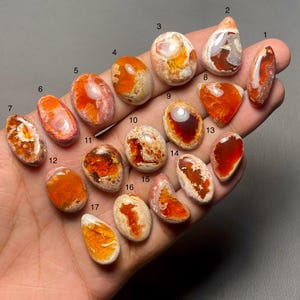 May include: A collection of seventeen polished opal gemstones in various shapes and sizes. The opals display a range of colors, including orange, red, and white, with unique patterns and internal structures. The gemstones are held in a hand.