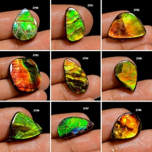 Ammolite A One Quality 100% Natural Amazing Fire Ammolite Cabochon Loose Gemstone For Making Jewelry