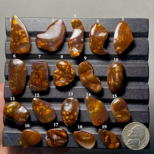 May include: Nineteen polished fire agate gemstones arranged on a black grooved display tray, numbered one through nineteen. Each stone displays iridescent orange, brown, and gold hues with botryoidal textures. A US nickel is included for scale.