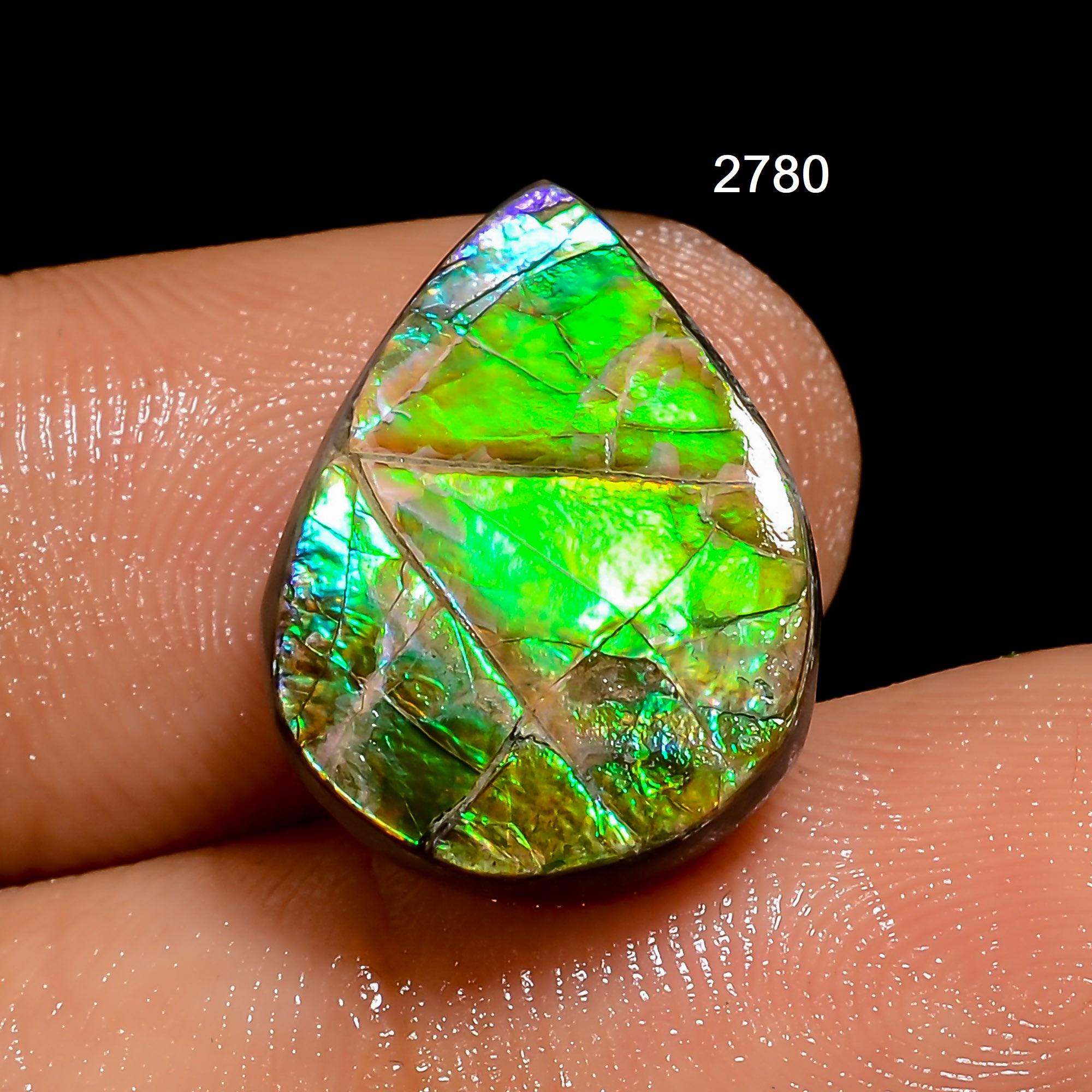 Cabochon Ammolite (Ammonite) Forme Libre Butw Aa - Pièce Unique 1443A - Neuf Avec étiquette