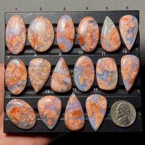 May include: Sixteen polished gemstones in diverse shapes, such as oval and teardrop. The stones feature orange, tan, and pale blue hues, with complex patterns. A US nickel coin is included for size reference. Measurements are in centimeters.