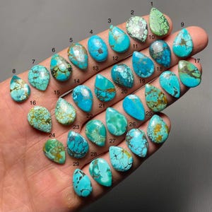 May include: A collection of twenty-nine turquoise gemstones in various shapes and sizes. The stones display a range of blue-green hues with brown matrix patterns. Each stone is unique, with variations in color and veining. Ideal for jewelry making or collecting.