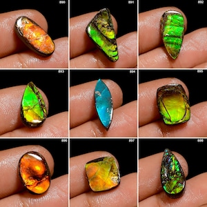 Ammolite A One Quality 100% Natural Amazing Fire Ammolite Cabochon Loose Gemstone For Making Jewelry