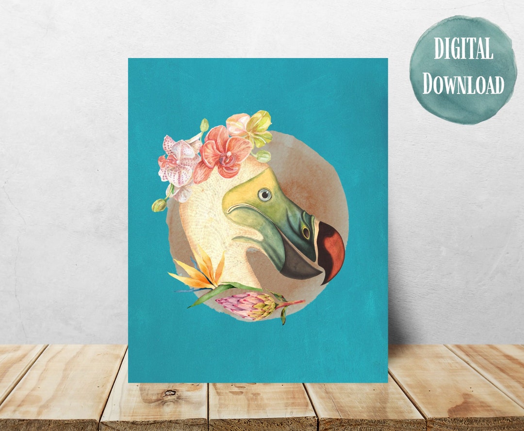 Dodo Bird Printable Art | Print at Home | Vintage Drawing Illustration ...