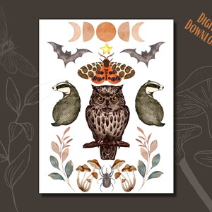 Night Creatures A2 Blank Greeting Card | Print at Home | Vintage Drawing Illustration | Natural History Art