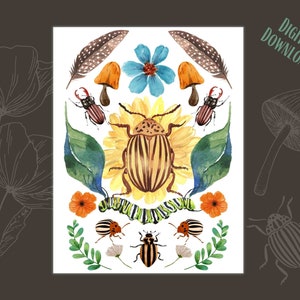 Whimsical Beetles A2 Blank Greeting Card | Print at Home | Vintage Drawing Illustration | Natural History Art
