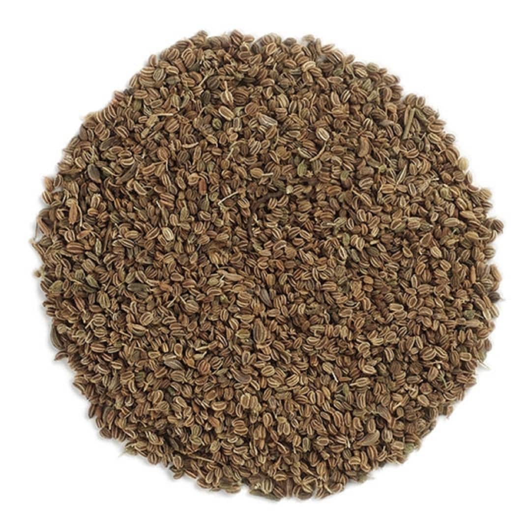 Certified ORGANIC Nonirradiated Dried CELERY SEED Tea Etsy