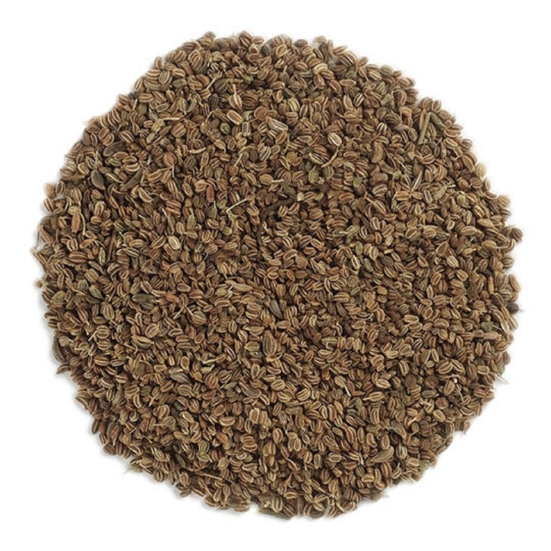 Certified ORGANIC Nonirradiated Dried CELERY SEED Tea Etsy