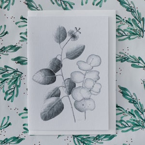 Australian Botanic Art Blank Card Graphite Eucalyptus Gunnii Cider Gum Tasmanian Artist