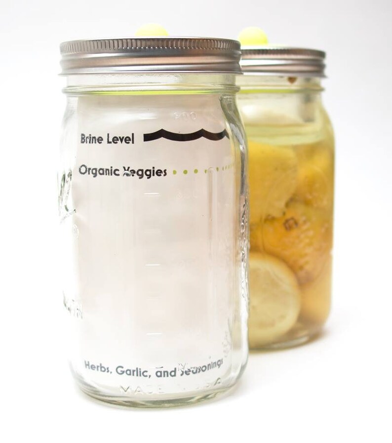 Glass Lacto Fermentation Kit with Basic Recipe and Airlock... Etsy